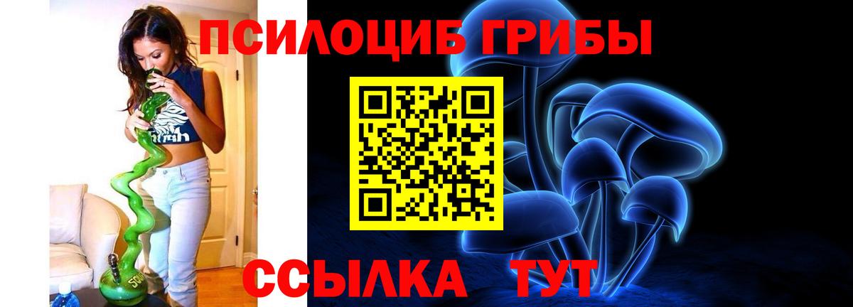 Псилоцибиновые грибы MAGIC MUSHROOMS  Вход с VPN  закладки  Ульяновск 
